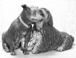 Titolo :Chicca e Birillo (Amore e psiche)
