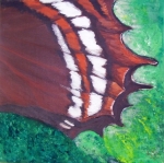 Titolo :Farfalla, particolare4
Tecnica: Olio su Tela
Misure : 50x50 cm
